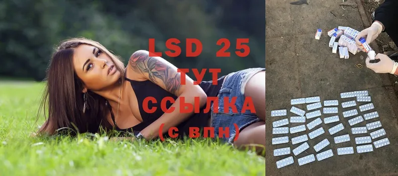 мориарти телеграм  Владивосток  Лсд 25 экстази ecstasy  где купить наркотик 